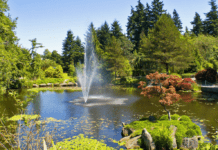 VanDusen Botanical Garden