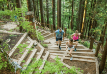 Grouse Mountain: History, Activities, and Wildlife