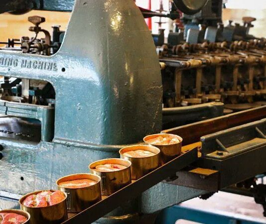 Історія рибних заводів на території мальовничого села