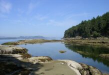 Gabriola – The Island Closely Linked to Art