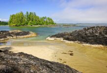 Pacific Rim National Park Reserve – A Historic Landmark of British Columbia