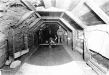 Vancouver’s Sewer System in the 19th Century: What Was the Water Supply Like?