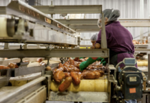 Vancouver’s Food Industry: Growth, Pollution, and the Path Forward