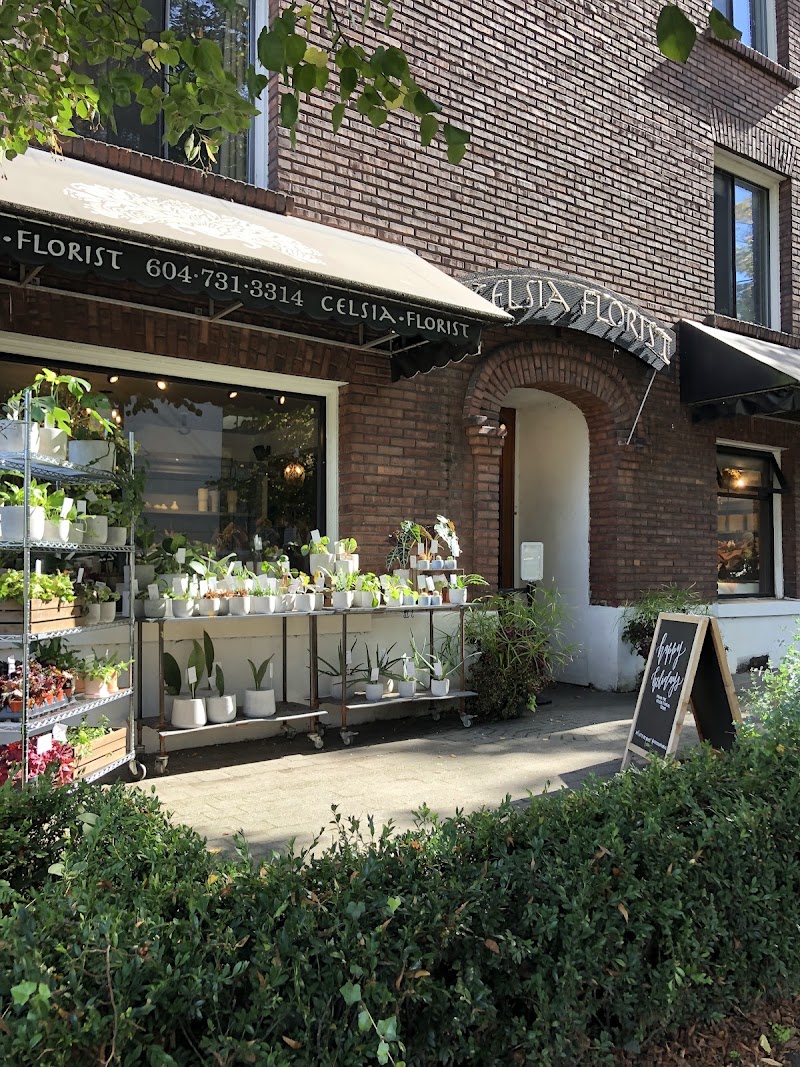 Celsia Florist Vancouver