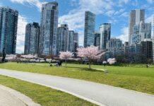 David Lam Park
