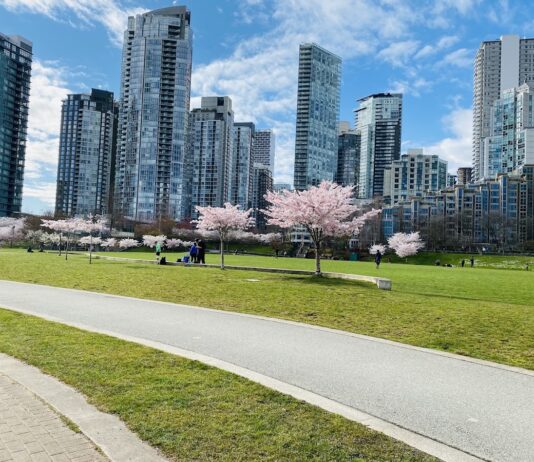 David Lam Park