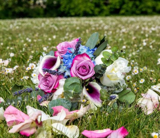 Davie Flowers