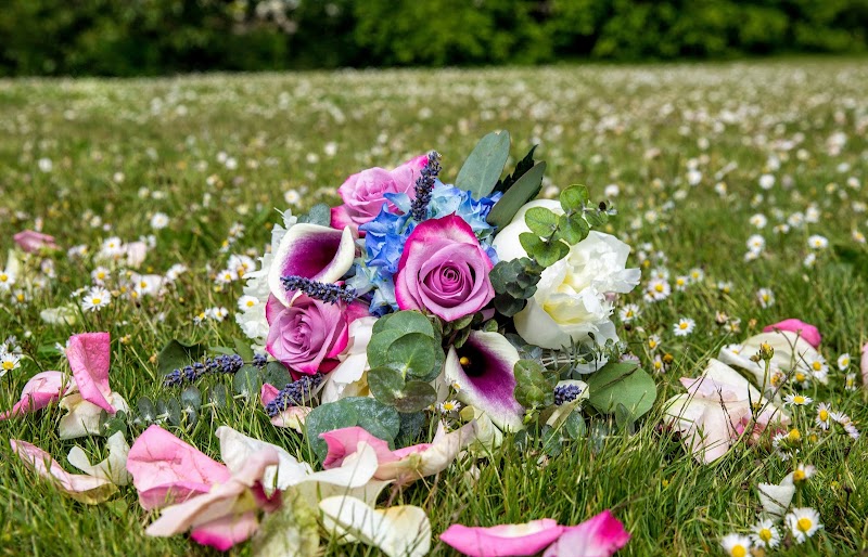Davie Flowers