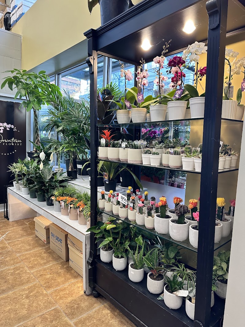 Downtown Florist