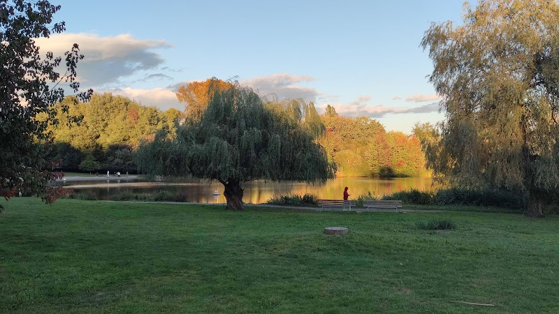 John Hendry Park (Trout Lake Park)