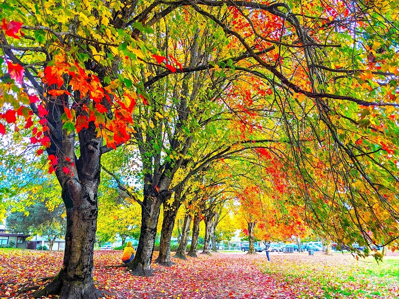 John Hendry Park (Trout Lake Park)