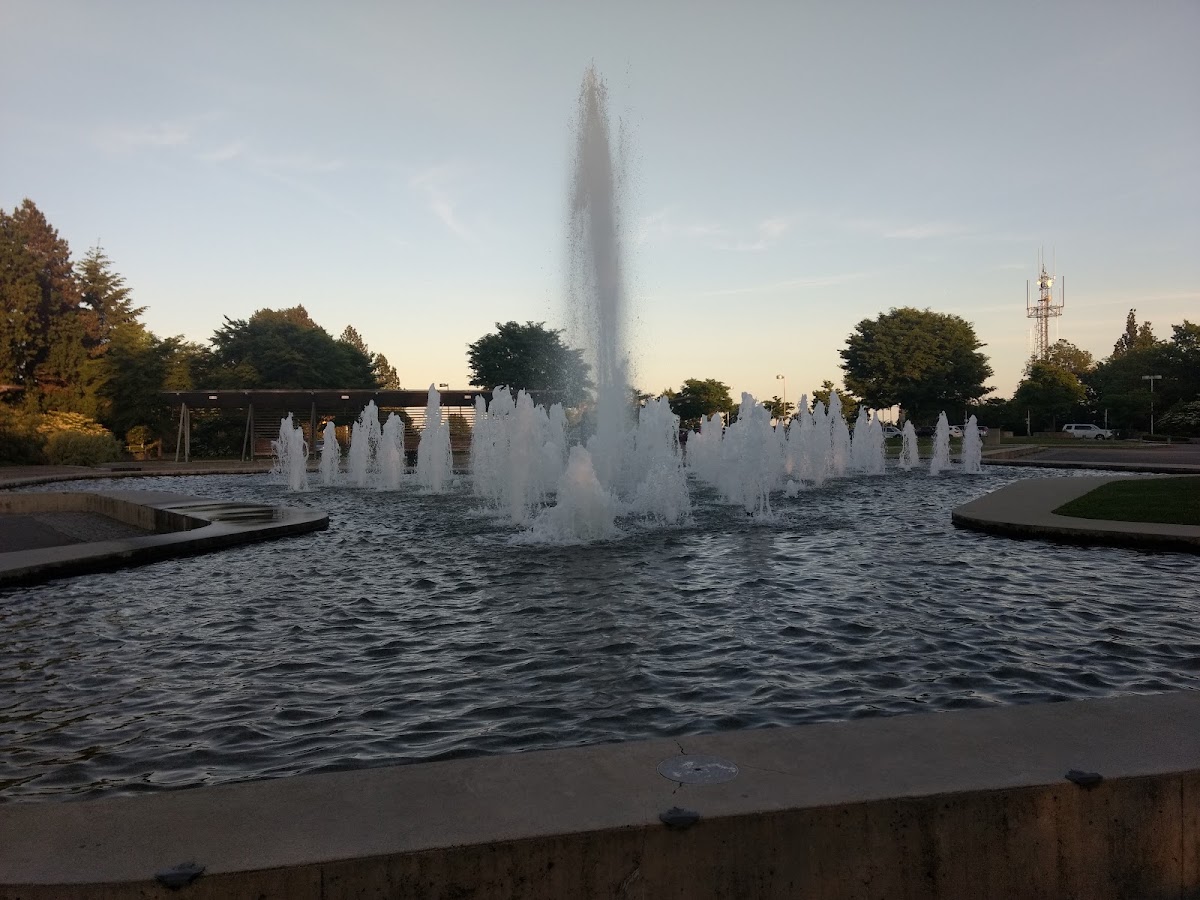 Queen Elizabeth Park — Park